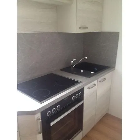Apartment Large Ute Leupert *