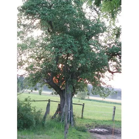 Large Ute Leupert