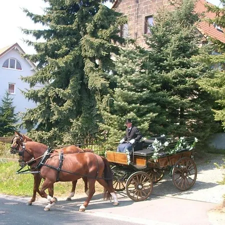 Large Ute Leupert Lohmen (Saxony)